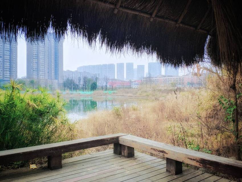 中和，湿地公园一瞥