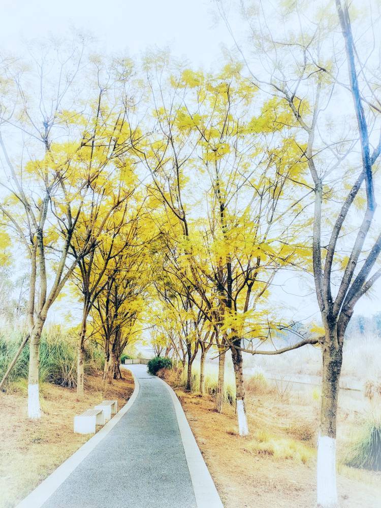 中和，湿地公园一瞥