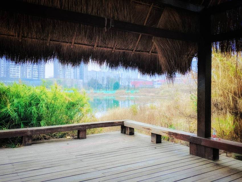 中和，湿地公园一瞥