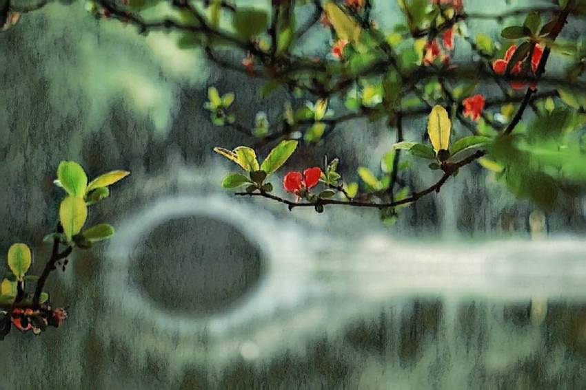 春风又绿江南岸