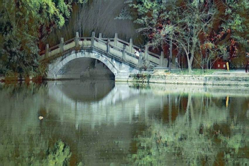 春风又绿江南岸