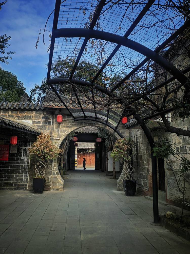 走马观花，青白江城厢镇