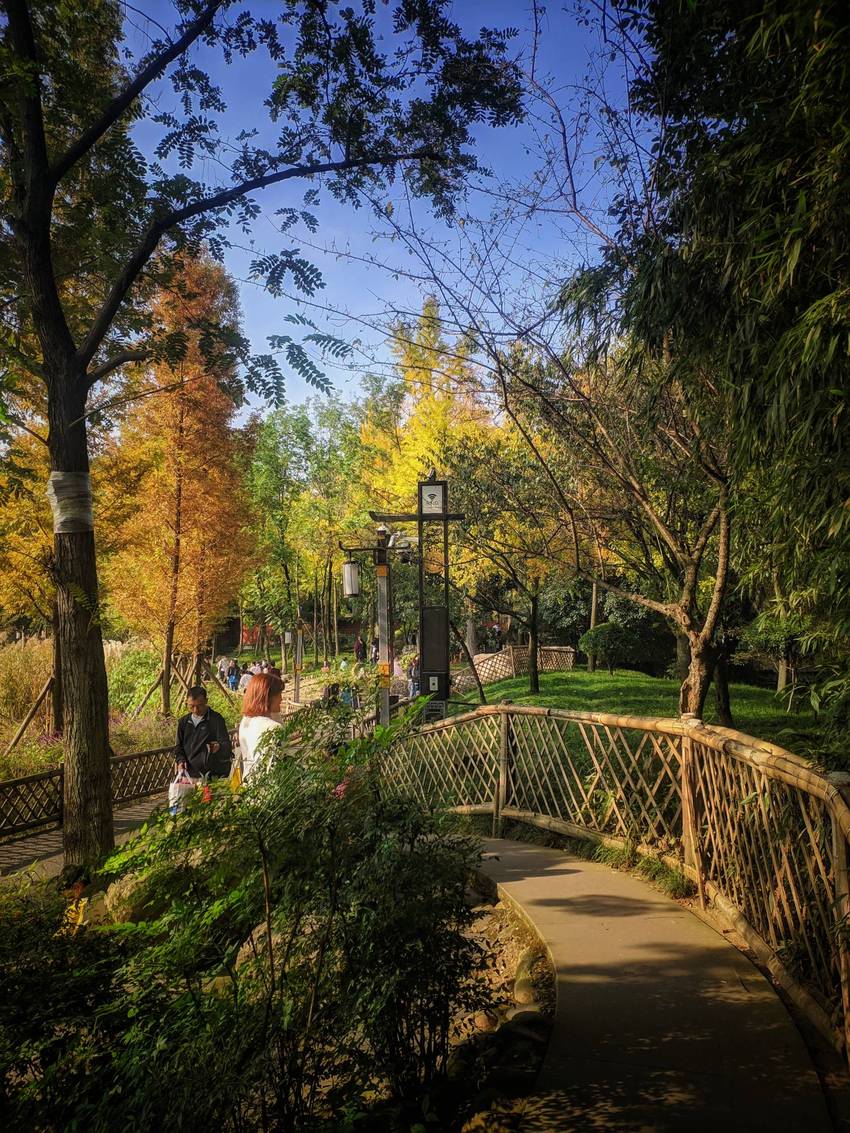 冬日暖阳，浣花溪公园晒太阳