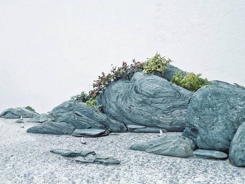 一时一景一心境，一花一木一春秋