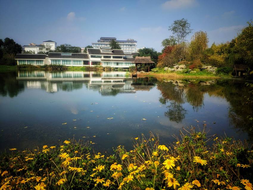 冬日暖阳，浣花溪公园晒太阳