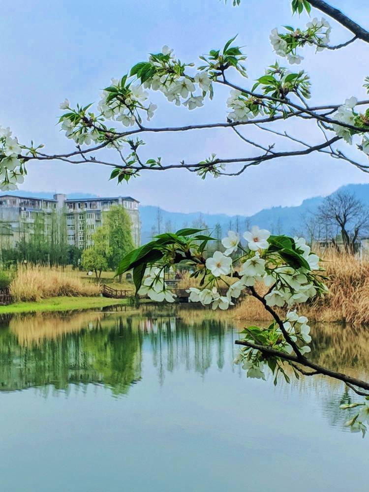 游洛水湿地公园