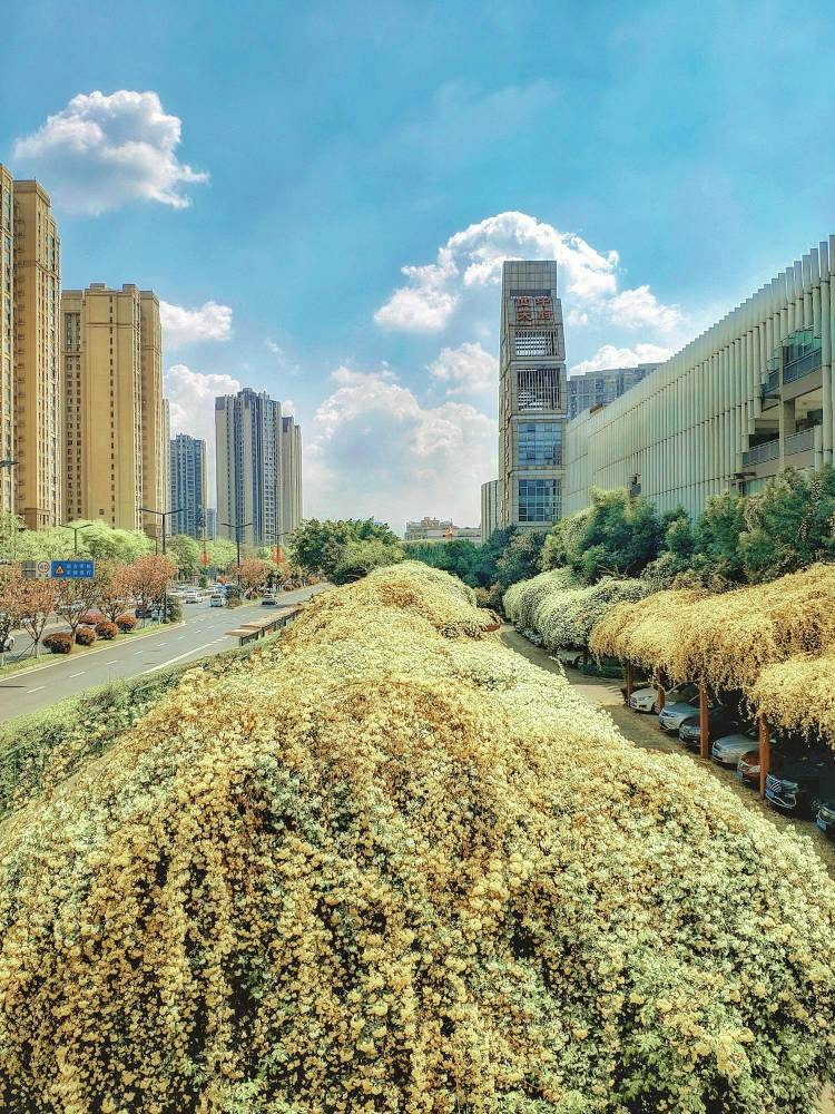 跟风去打卡，天气很哇晒