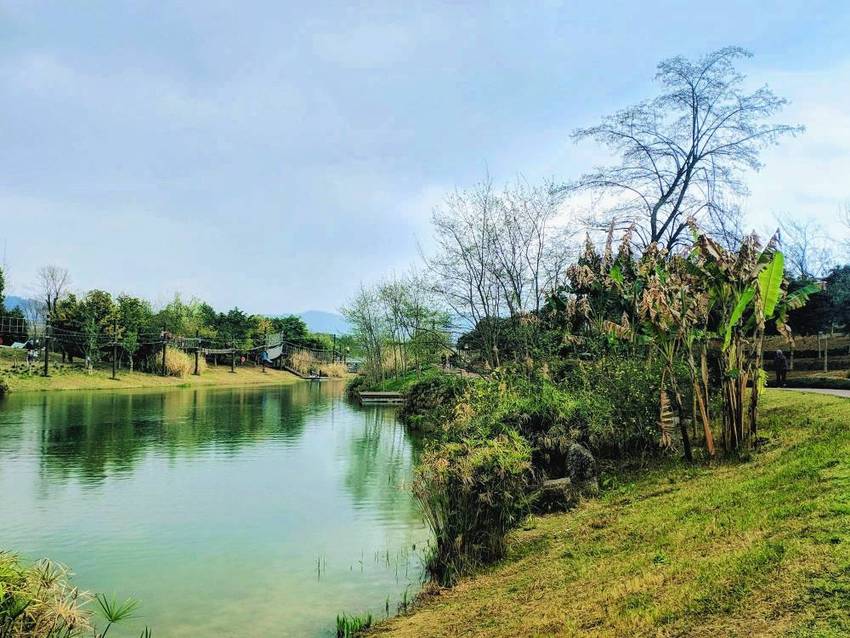 游洛水湿地公园