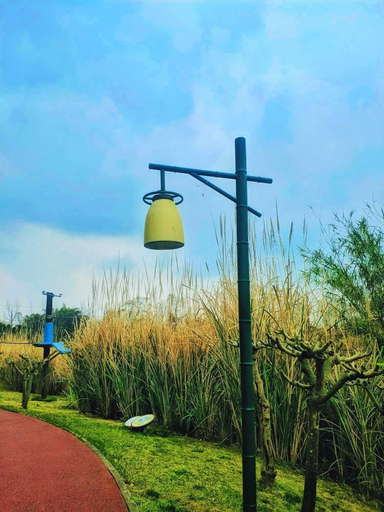 游洛水湿地公园