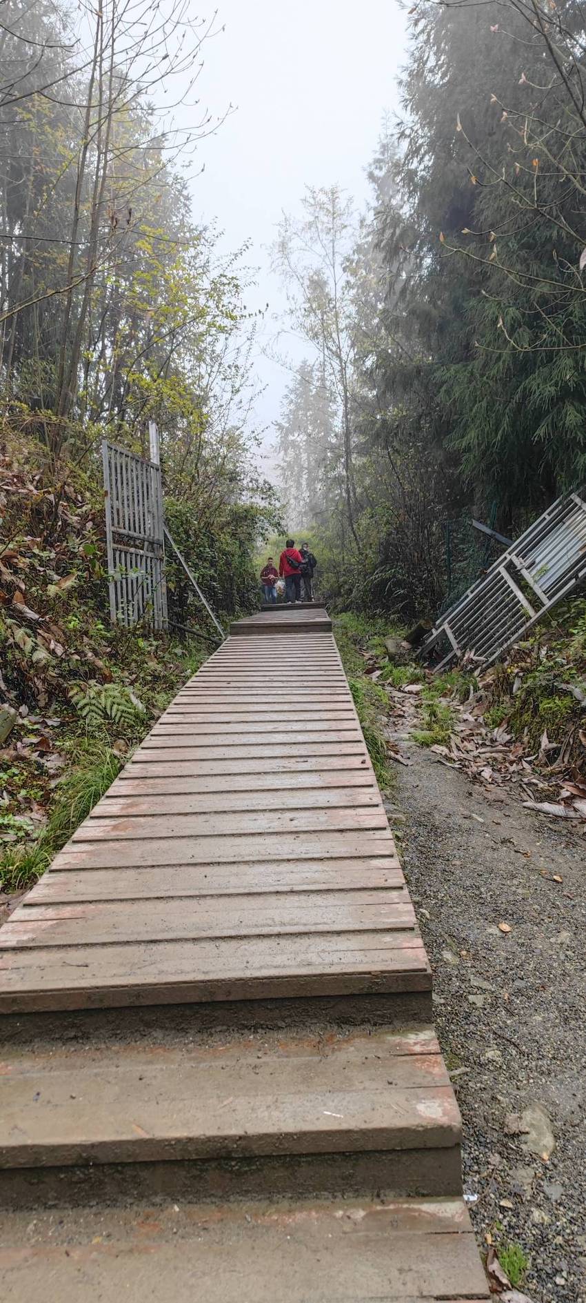 中坝森林公园一日游