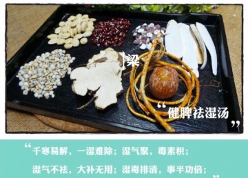 健脾祛湿汤
