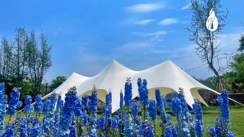 成都最新网红营地等你来打卡