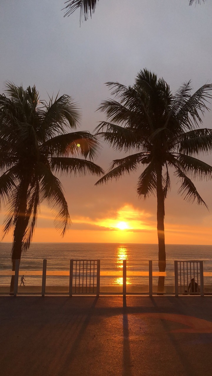 电车一年跑了几万公里