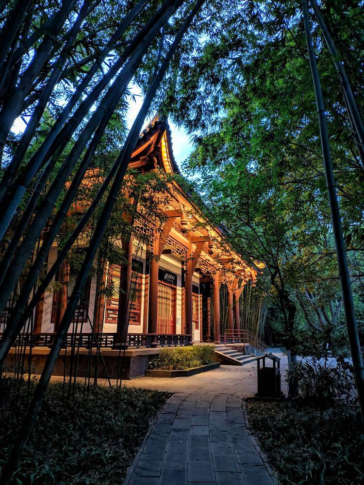 夜幕下的望江公园