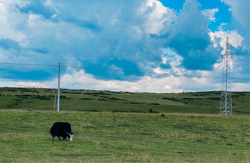 红原-若尔盖-扎尕那-郎木寺