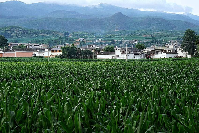 茶马古道上的一股清流~沙溪古镇