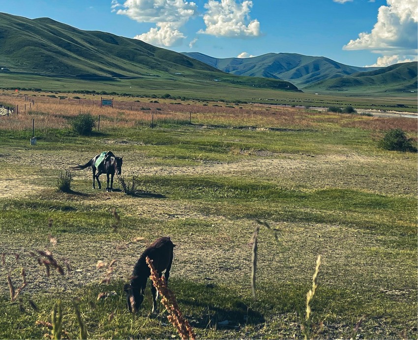 红原-若尔盖-扎尕那-郎木寺