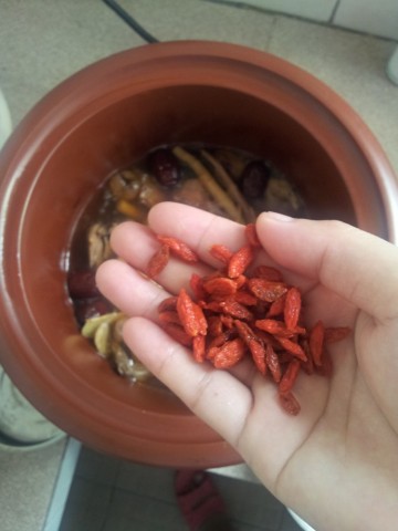 十全大补鸽子汤