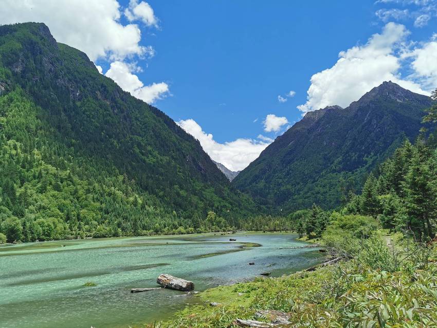 新都桥过去荷花海森林公园值得打卡