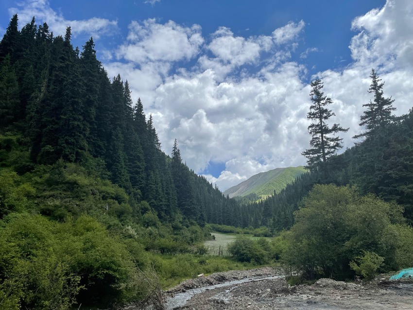 七月红原～日干乔大沼泽
