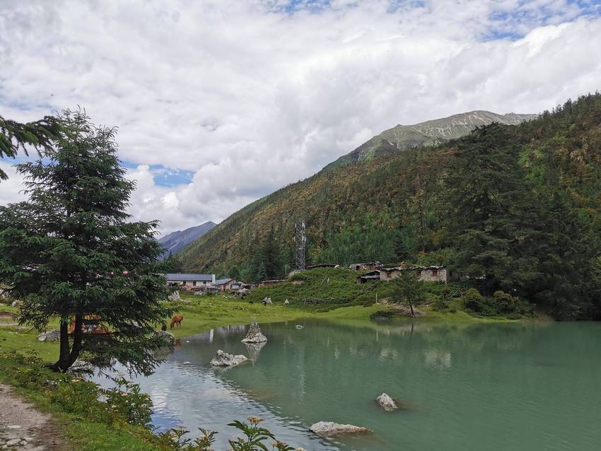 新都桥过去荷花海森林公园值得打卡