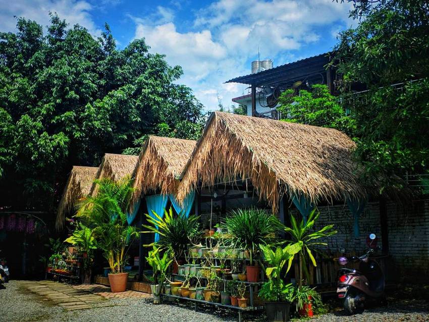 打卡·版纳嘎洒网红餐馆