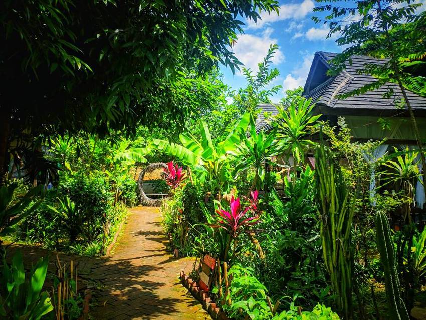 打卡·版纳嘎洒网红餐馆