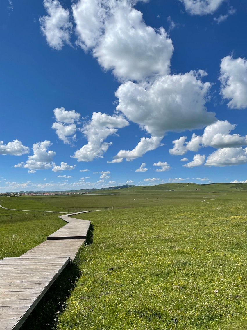 七月红原～日干乔大沼泽