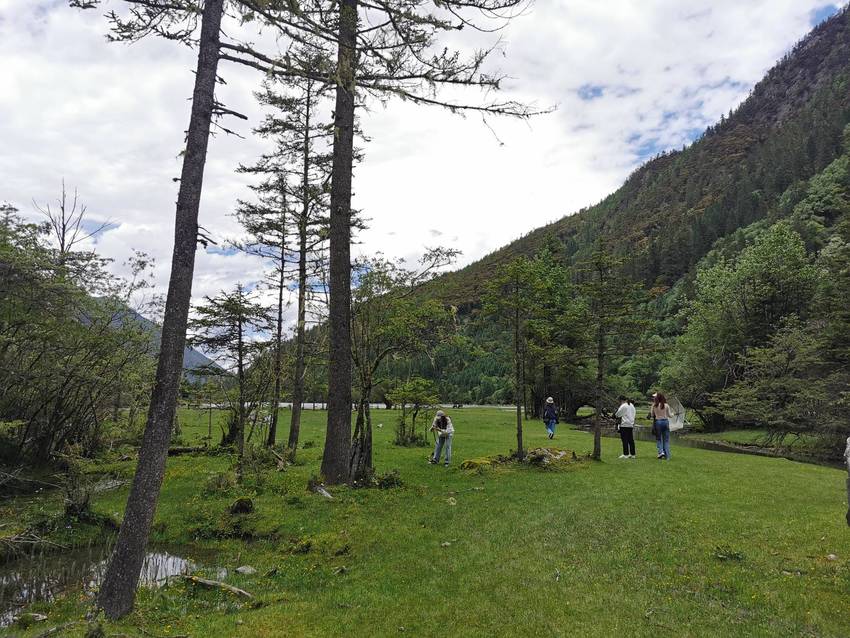 新都桥过去荷花海森林公园值得打卡