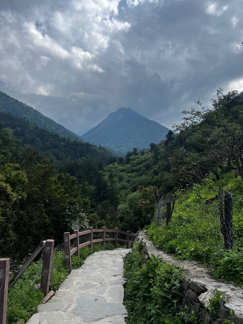 汶川卧龙邓生沟避暑2日游