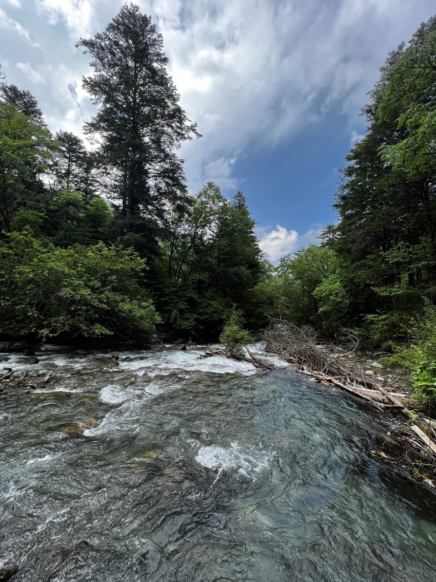 汶川卧龙邓生沟避暑2日游