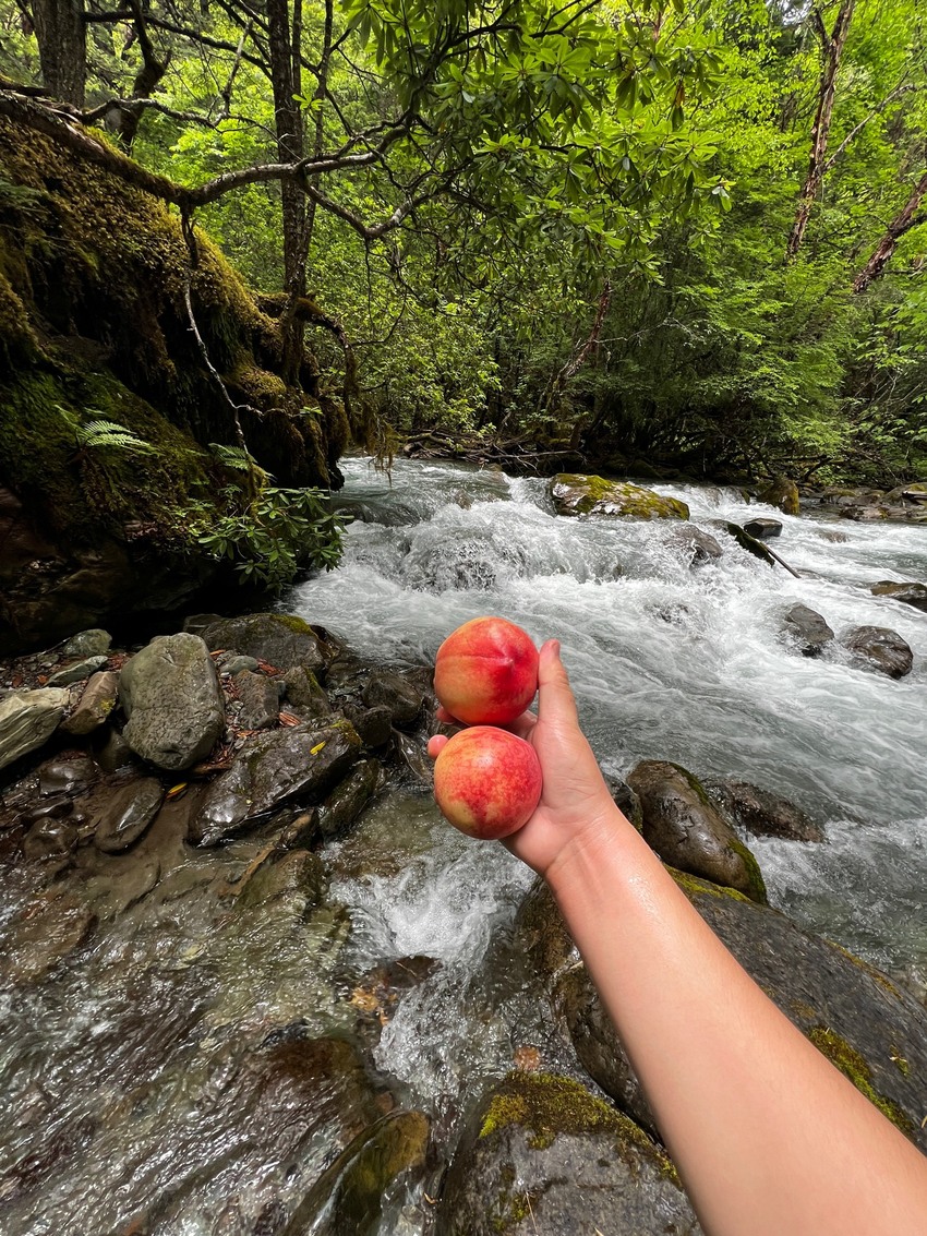 汶川卧龙邓生沟避暑2日游
