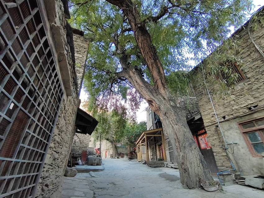 桃坪羌寨半日游