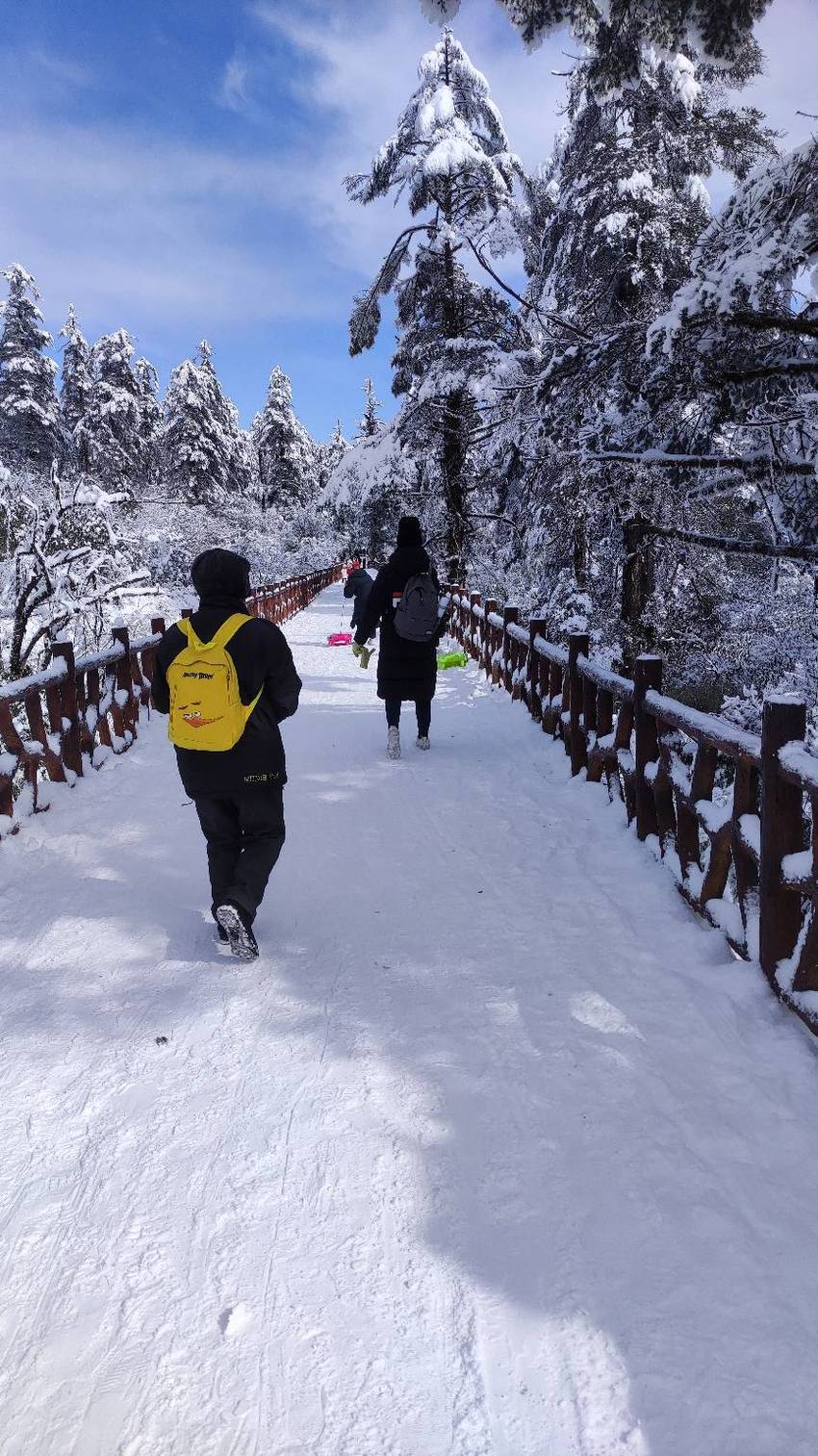 瓦屋山看云海耍雪