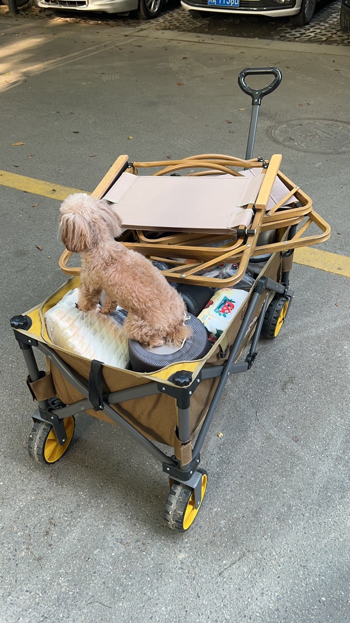 网红打卡地（林家湾）一日游