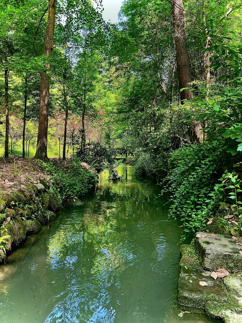 网红打卡地（林家湾）一日游
