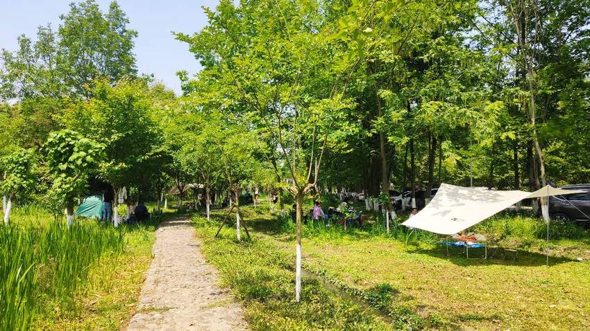 周末郫都区云桥湿地公园，三道堰