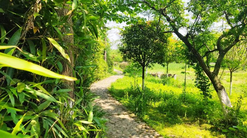 周末郫都区云桥湿地公园，三道堰