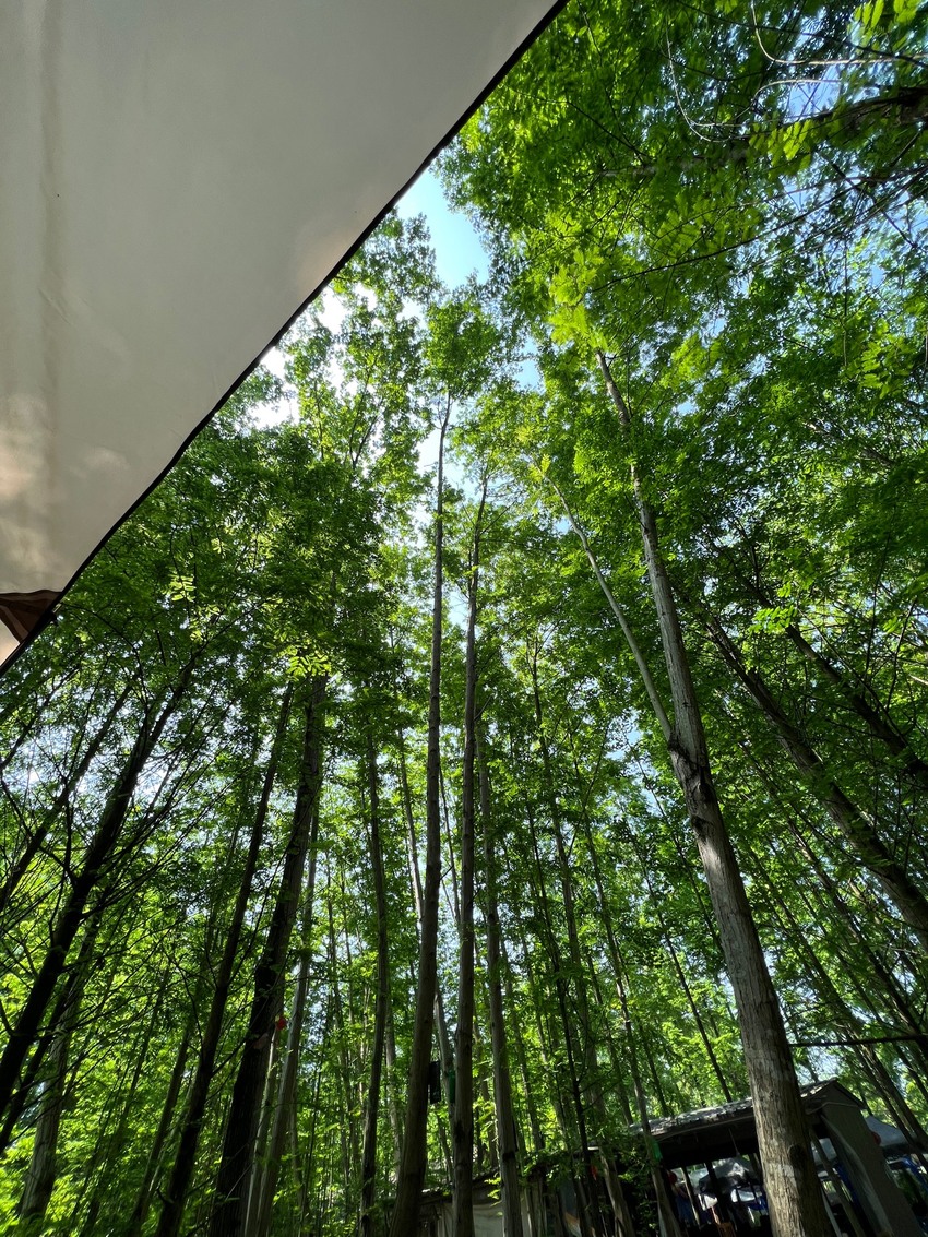 网红打卡地（林家湾）一日游