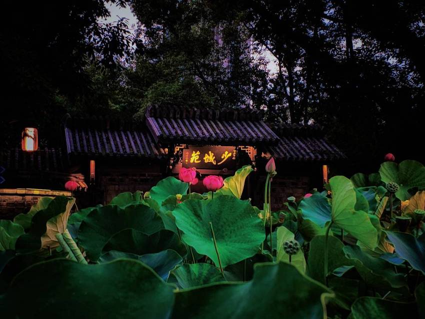 夜，少城公园闲逛