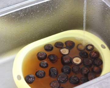 秘制香菇啤酒鸭