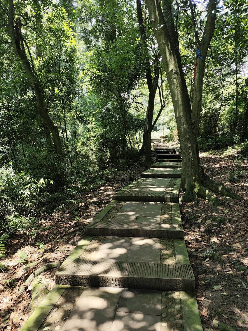 一天时间玩了凤栖山九龙沟街子古镇