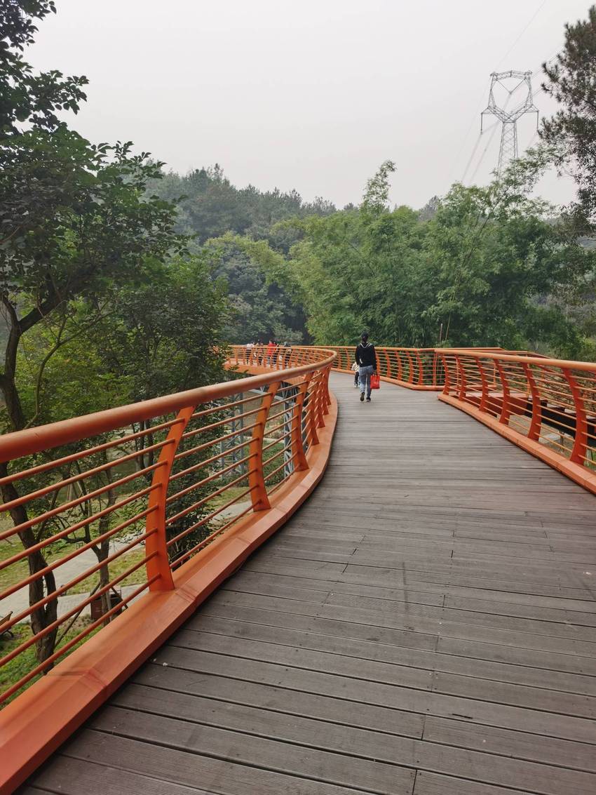 双流永安森林公园还可以