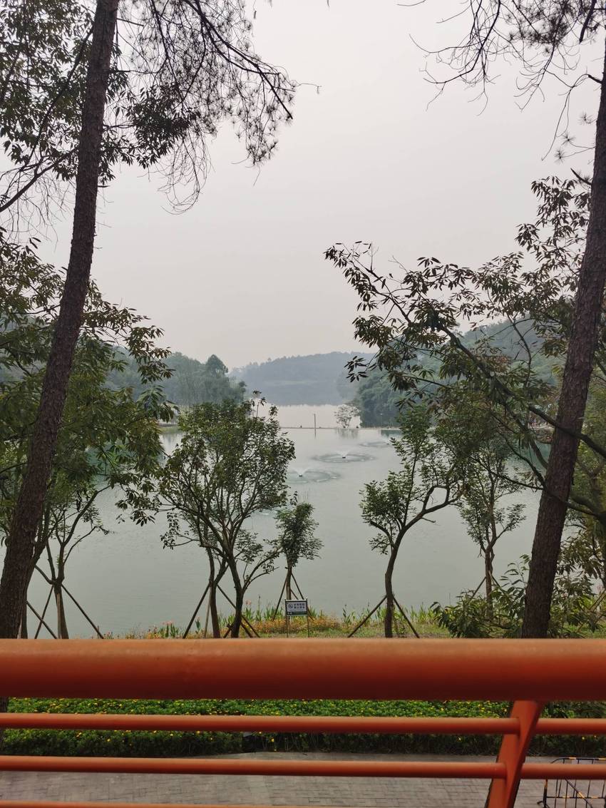 双流永安森林公园还可以