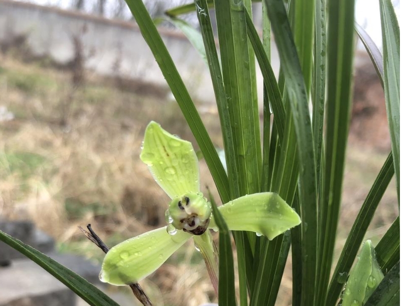 春暖花开
