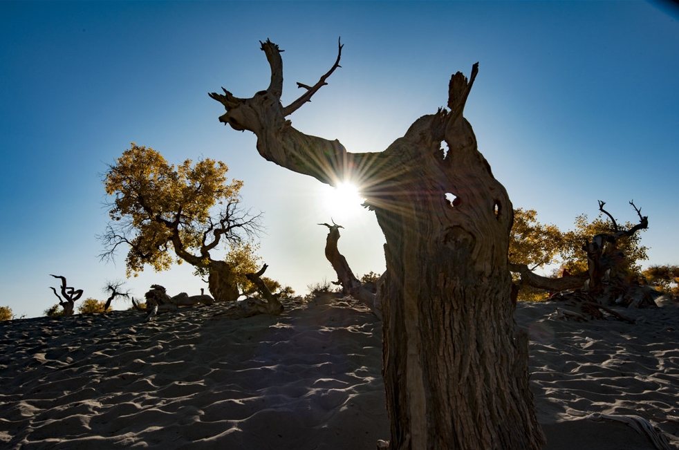 峰峦叠嶂,碧水如镜,青山浮水,倒影翩翩,两岸景色犹如百里画廊