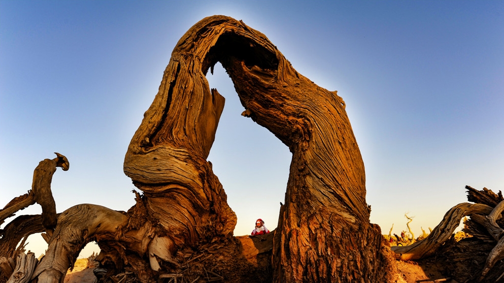 峰峦叠嶂,碧水如镜,青山浮水,倒影翩翩,两岸景色犹如百里画廊