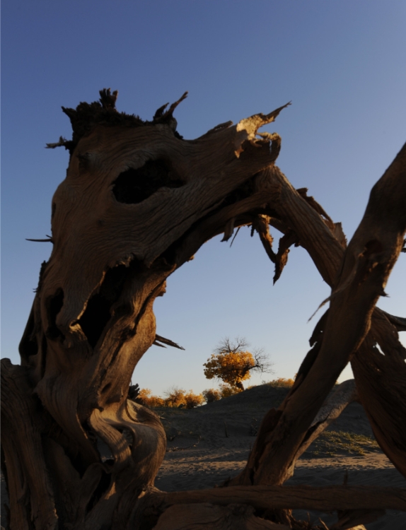 峰峦叠嶂,碧水如镜,青山浮水,倒影翩翩,两岸景色犹如百里画廊