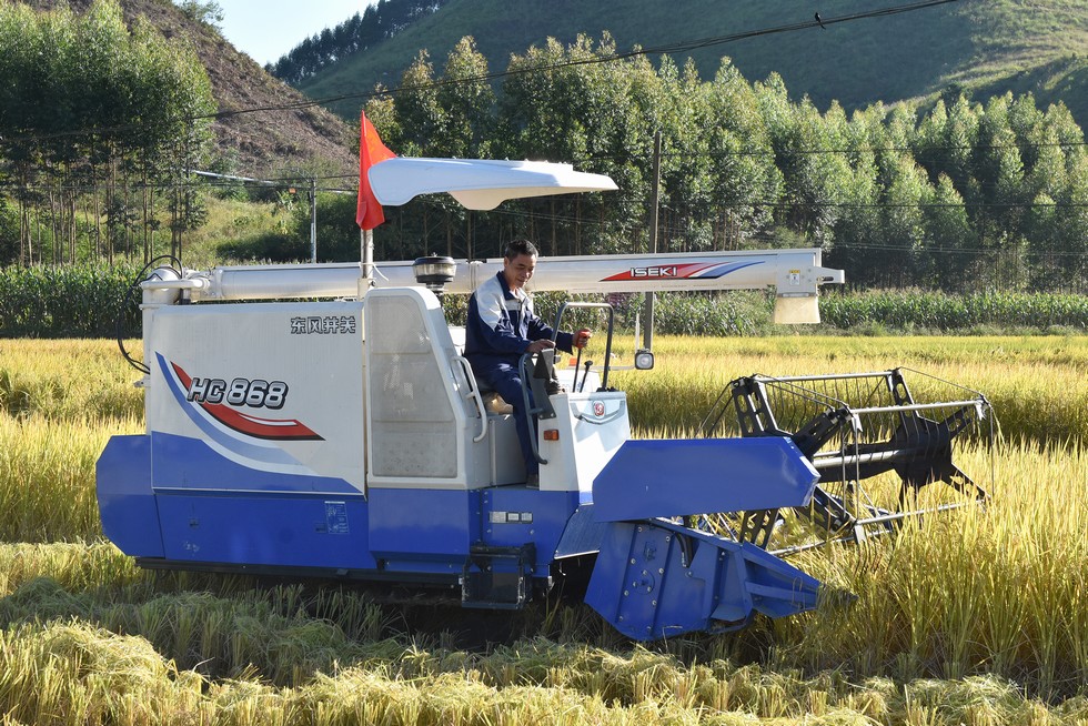 全面开启东风助力马山发展新阶段