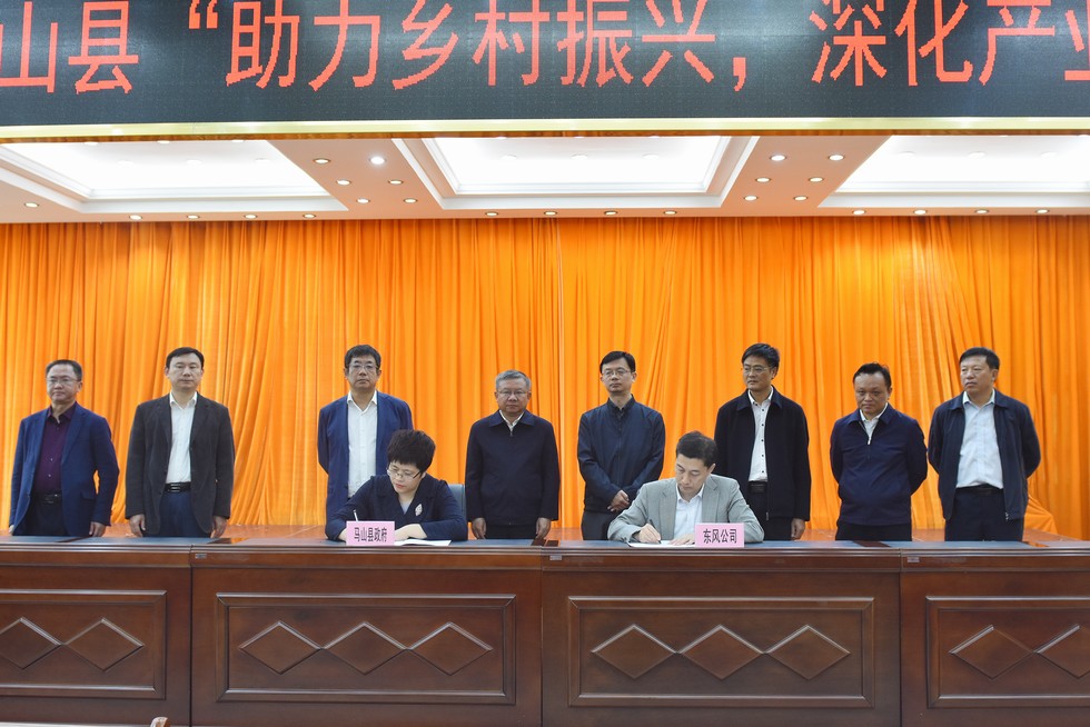 全面开启东风助力马山发展新阶段